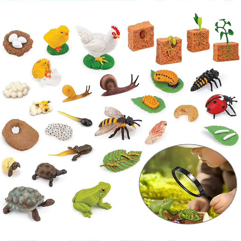 Plant Desk Mini - Mini Animal Life Cycle Home Desktop