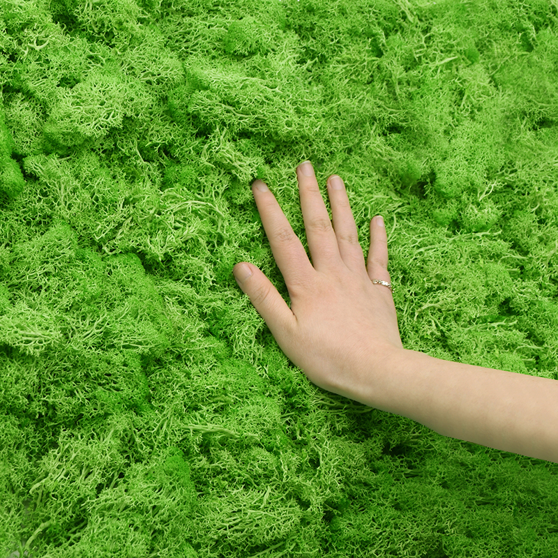 20/40g Artificial Green Plants - Plant Desk Mini บทวิจารณ์และราคา