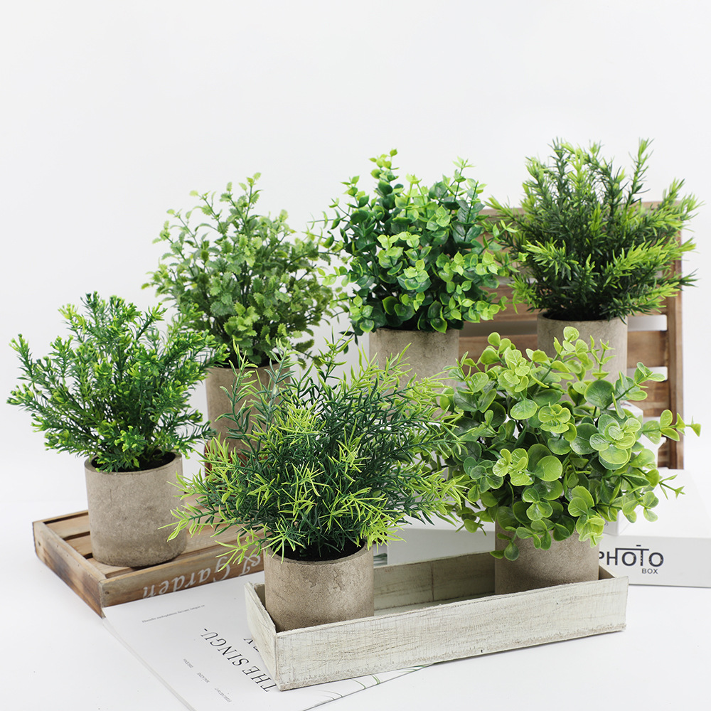 Artificial Plant Potted Eucaly - Plant Desk Mini บทวิจารณ์และราคา