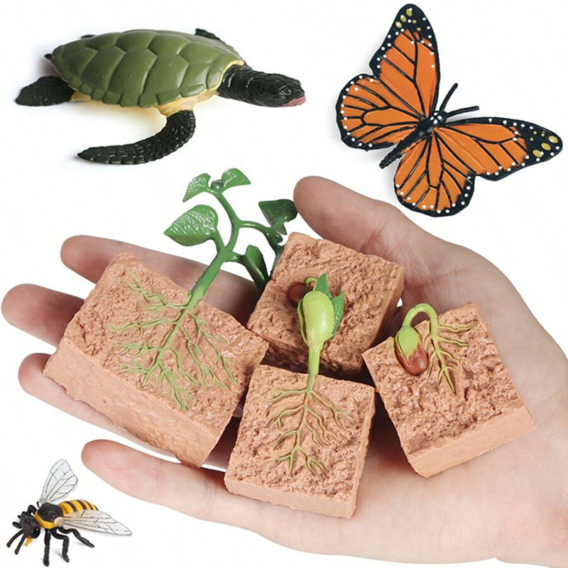 Mini Animal Life Cycle Home De - Plant Desk Mini บทวิจารณ์และราคา