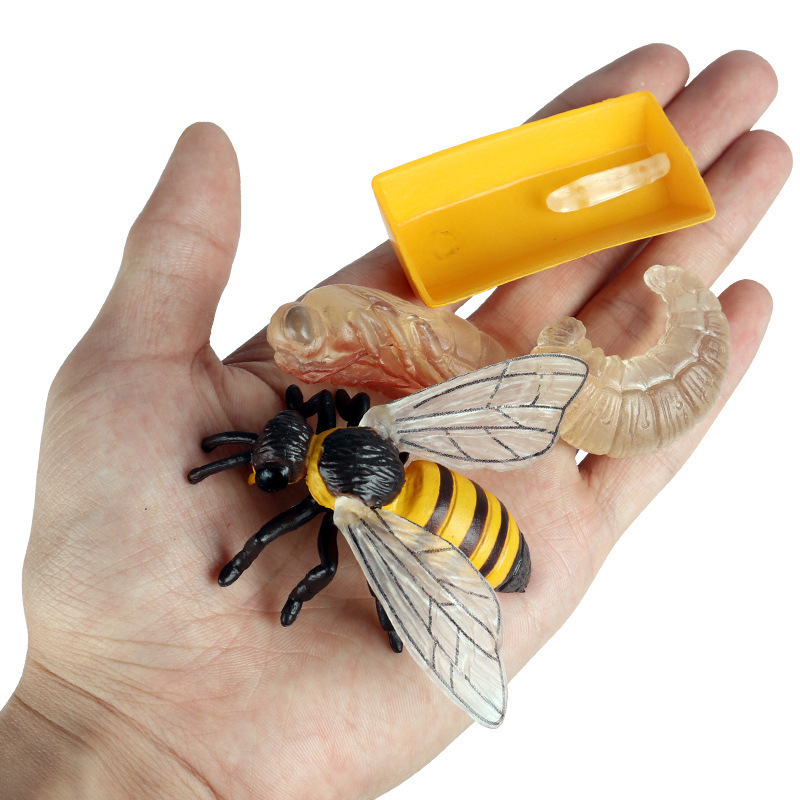 Mini Animal Life Cycle Home De - Plant Desk Mini บทวิจารณ์และราคา