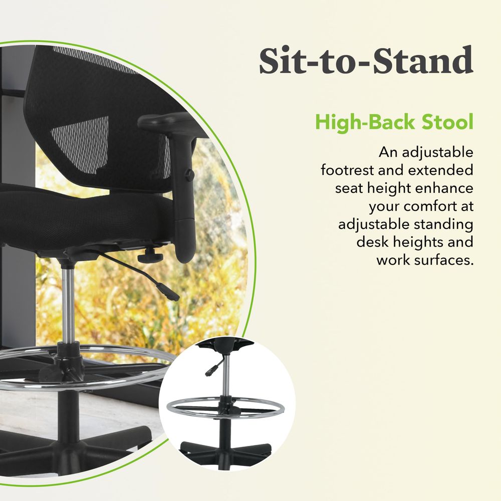 Prominent Mesh Ergonomic Stand - Ergonomic Office Chair บทวิจารณ์และราคา
