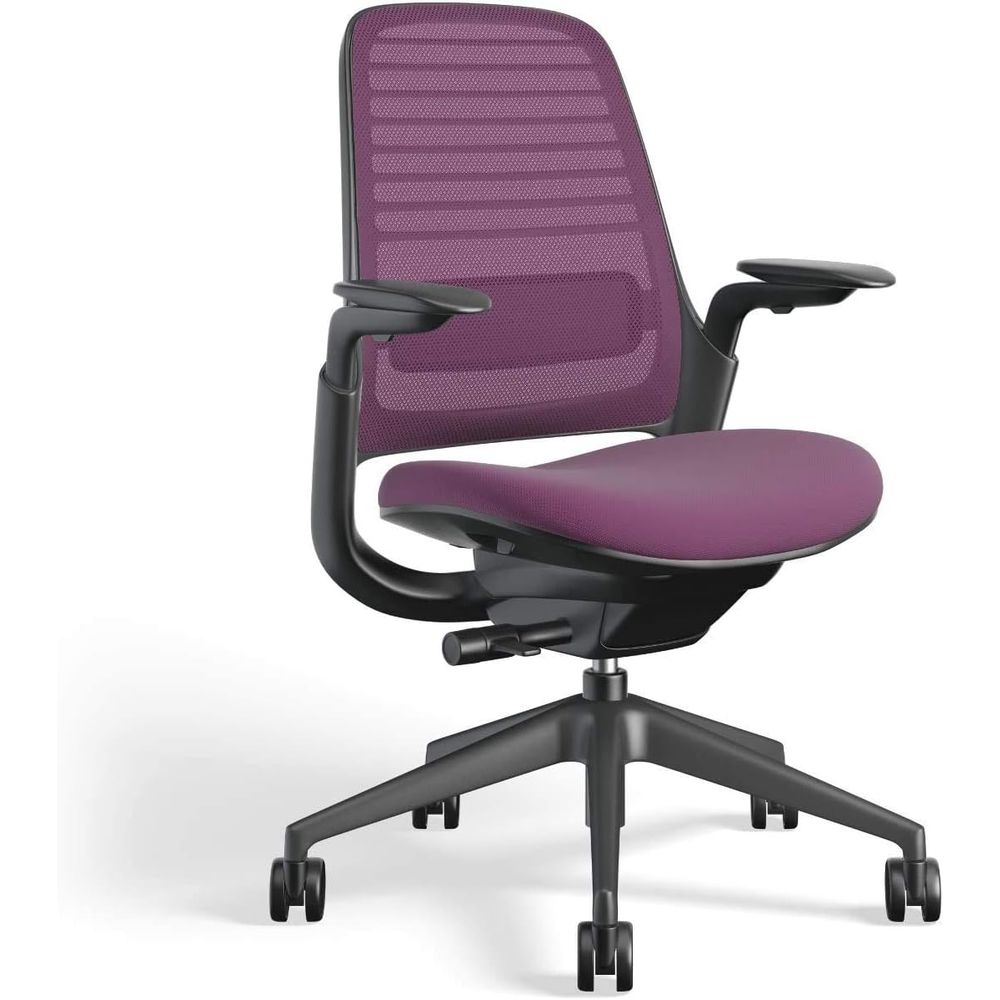 Series 1 Ergonomic Office Chai - Ergonomic Office Chair บทวิจารณ์และราคา
