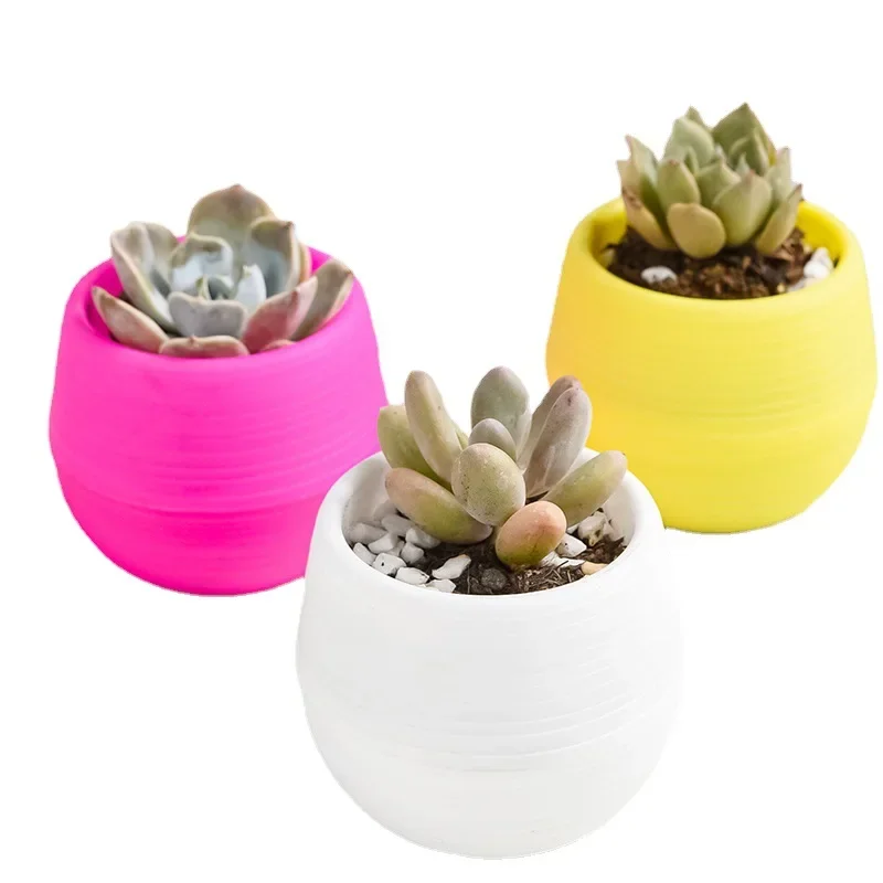 Succulent Plants Flower Pot Fl - Plant Desk Mini บทวิจารณ์และราคา